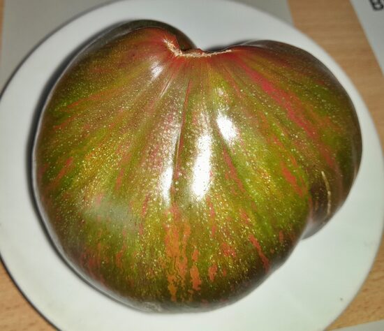 Охровая Симфония